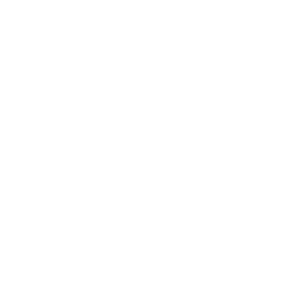 Search Engine Optimization Puyallup, Tacoma
